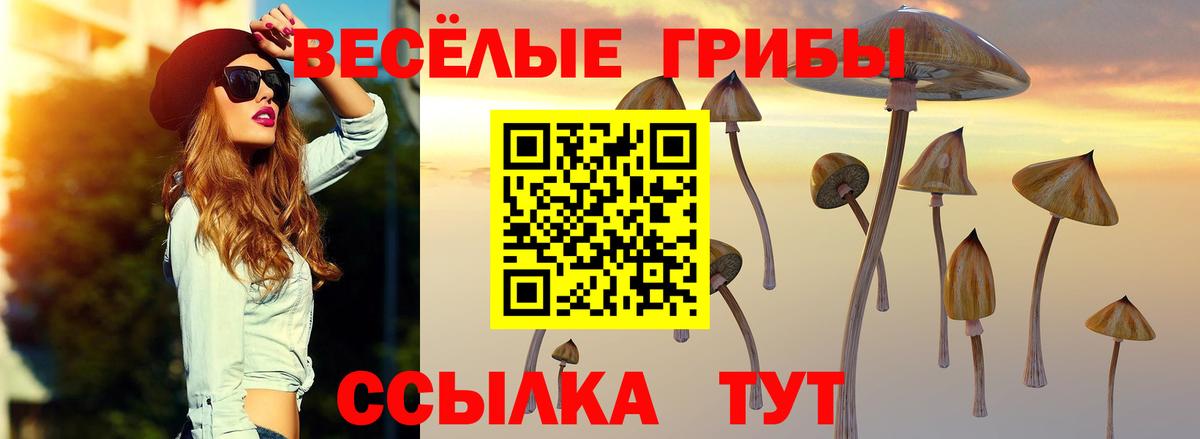Псилоцибиновые грибы GOLDEN TEACHER  где продают наркотики  Ржев  Вход с VPN 